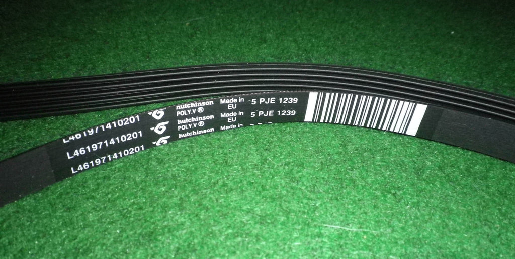 Whirlpool Eureka Front Load Washer Drum Belt Part 481235818215, 5P